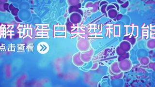 蛋白质翻译后修饰的更常见6种类型