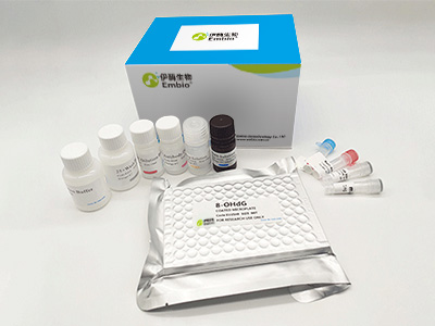 人抗促红细胞生成素抗体(EPO-Ab)酶联免疫(elisa)试剂盒