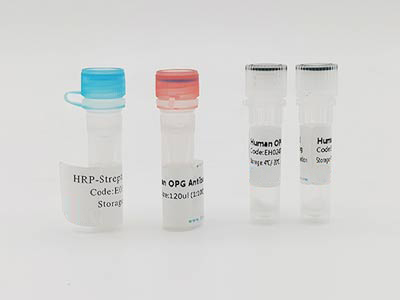 人抗C反应蛋白抗体(CRP-Ab)酶联免疫(elisa)试剂盒